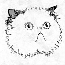 Load image into Gallery viewer, 010 . persian cat . white tee