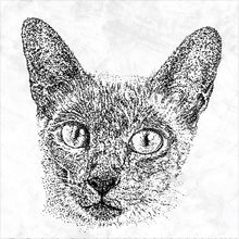 Load image into Gallery viewer, 013. siamese cat . white tee